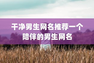 干净男生网名推荐一个陪伴的男生网名 第1张 干净男生网名推荐一个陪伴的男生网名 第1张