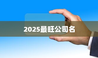 2025最旺公司名 第1张 2025最旺公司名 第1张