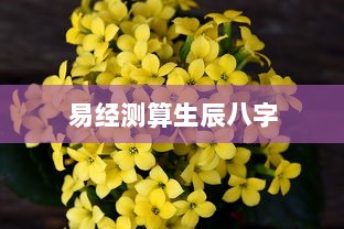 易经测算生辰八字