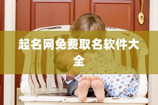 起名网免费取名软件大全  第1张