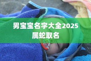 男宝宝名字大全2025属蛇取名