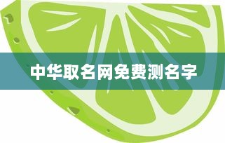 中华取名网免费测名字