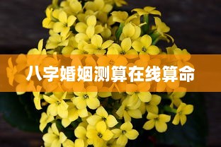 八字婚姻测算在线算命