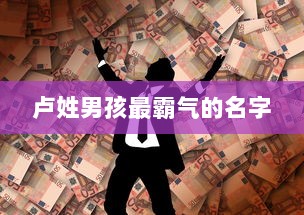 卢姓男孩最霸气的名字