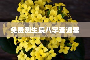 免费测生辰八字查询器 第1张 免费测生辰八字查询器 第1张