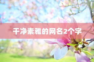 干净素雅的网名2个字