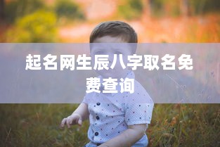 起名网生辰八字取名免费查询