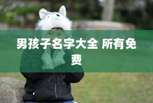 男孩子名字大全 所有免费