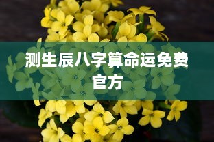 测生辰八字算命运免费官方