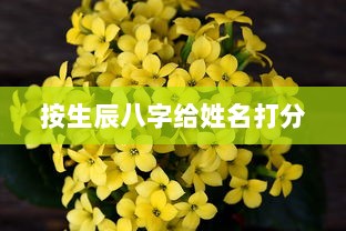 按生辰八字给姓名打分