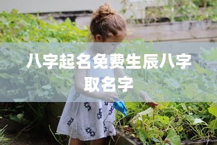 八字起名免费生辰八字取名字