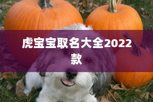虎宝宝取名大全2022款  第1张