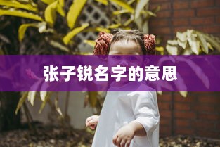 张子锐名字的意思