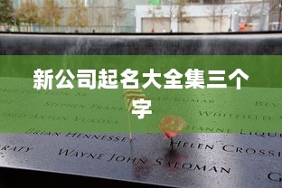 新公司起名大全集三个字  第1张