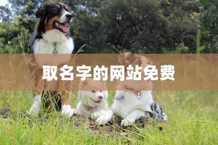 取名字的网站免费  第1张