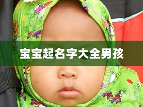 宝宝起名字大全男孩
