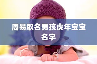 周易取名男孩虎年宝宝名字