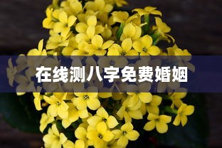 在线测八字免费婚姻