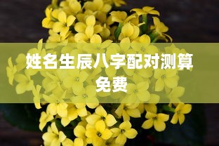 姓名生辰八字配对测算 免费