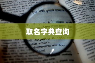 取名字典查询