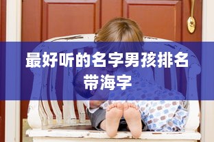 最好听的名字男孩排名带海字