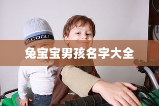 兔宝宝男孩名字大全