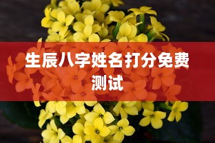 生辰八字姓名打分免费测试