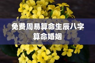 免费周易算命生辰八字算命婚姻  第1张