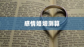 感情婚姻测算