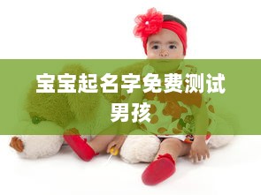 宝宝起名字免费测试男孩
