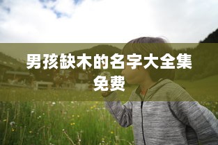 男孩缺木的名字大全集免费