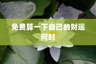 免费算一下自己的财运何时