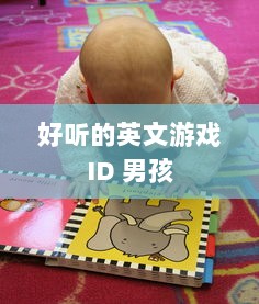 好听的英文游戏ID 男孩  第1张