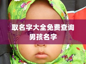 取名字大全免费查询男孩名字