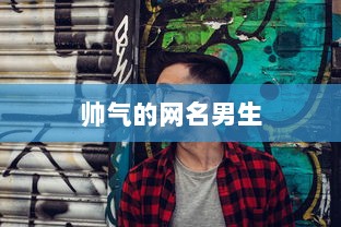 帅气的网名男生 第1张 帅气的网名男生 第1张