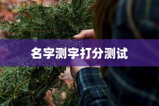 名字测字打分测试