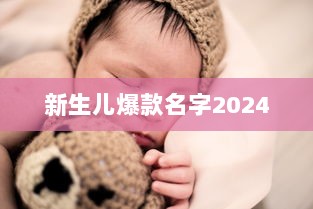 新生儿爆款名字2024