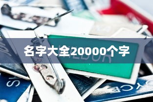 名字大全20000个字