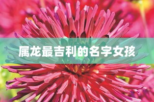 属龙最吉利的名字女孩 第1张 属龙最吉利的名字女孩 第1张