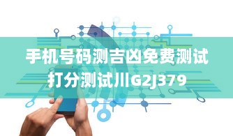 手机号码测吉凶免费测试打分测试川G2J379