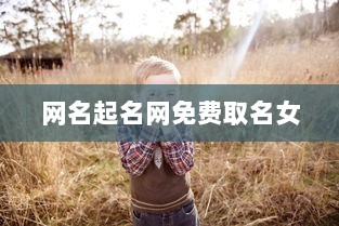 网名起名网免费取名女