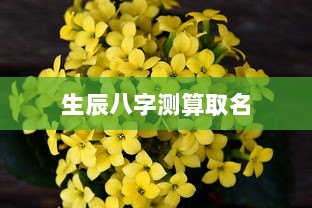 生辰八字测算取名 第1张 生辰八字测算取名 第1张