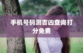 手机号码测吉凶查询打分免费