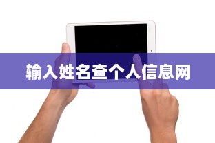 输入姓名查个人信息网