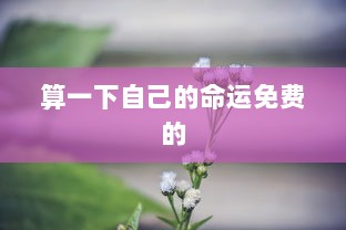 算一下自己的命运免费的