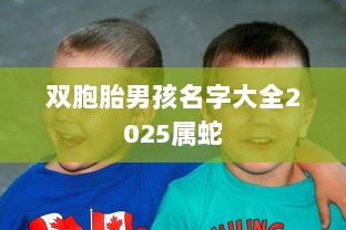 双胞胎男孩名字大全2025属蛇