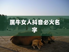 属牛女人抖音必火名字