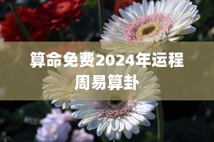 算命免费2024年运程周易算卦