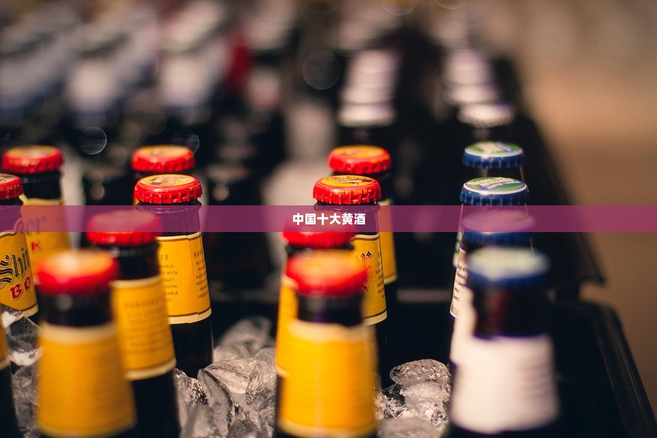 中国十大黄酒  第1张