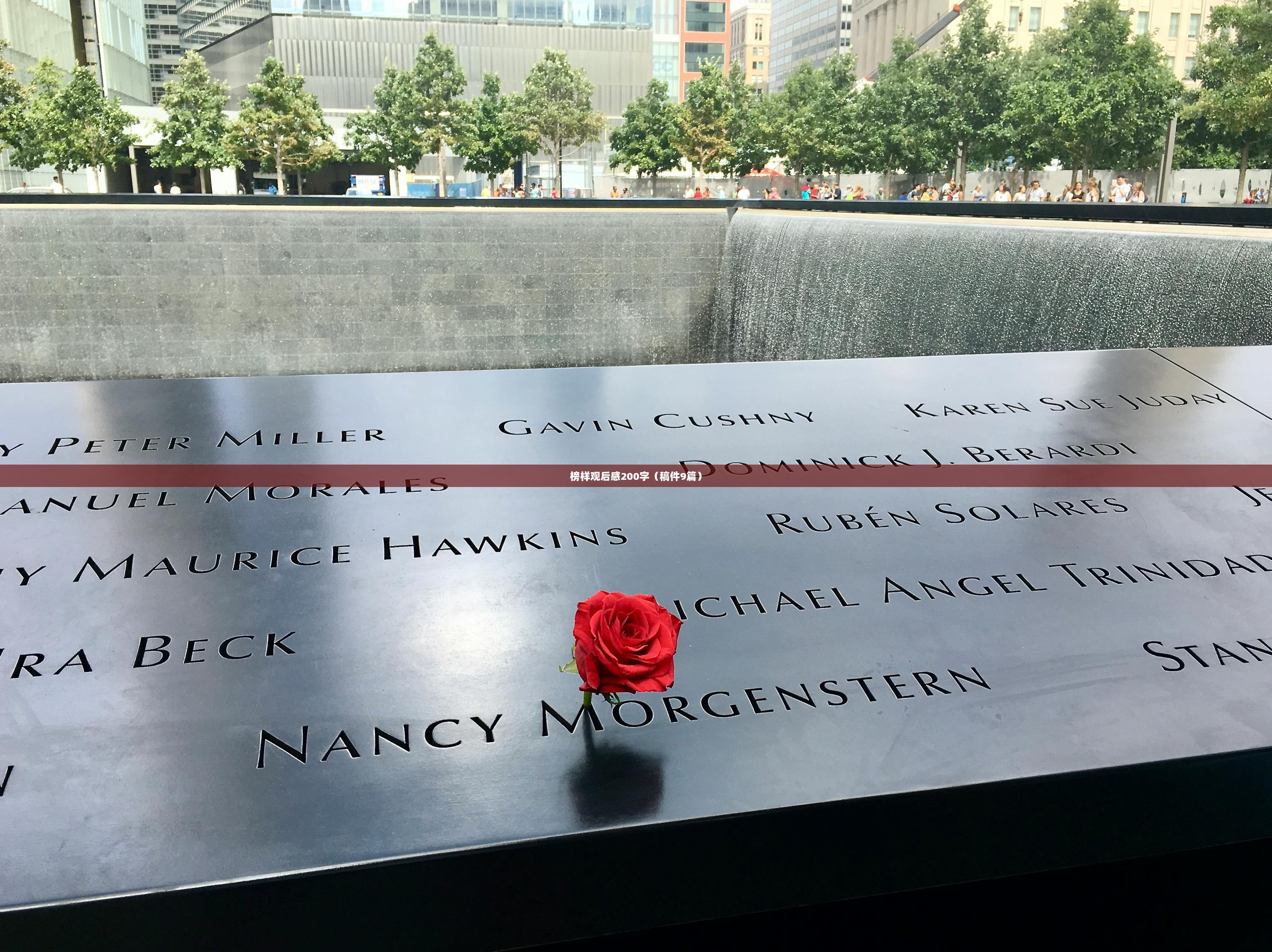 榜样观后感200字（稿件9篇）